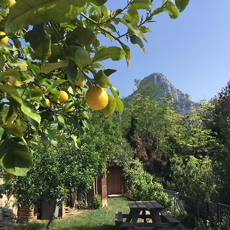 Au Pied Des Baous Bed & Breakfast Vence Exterior photo