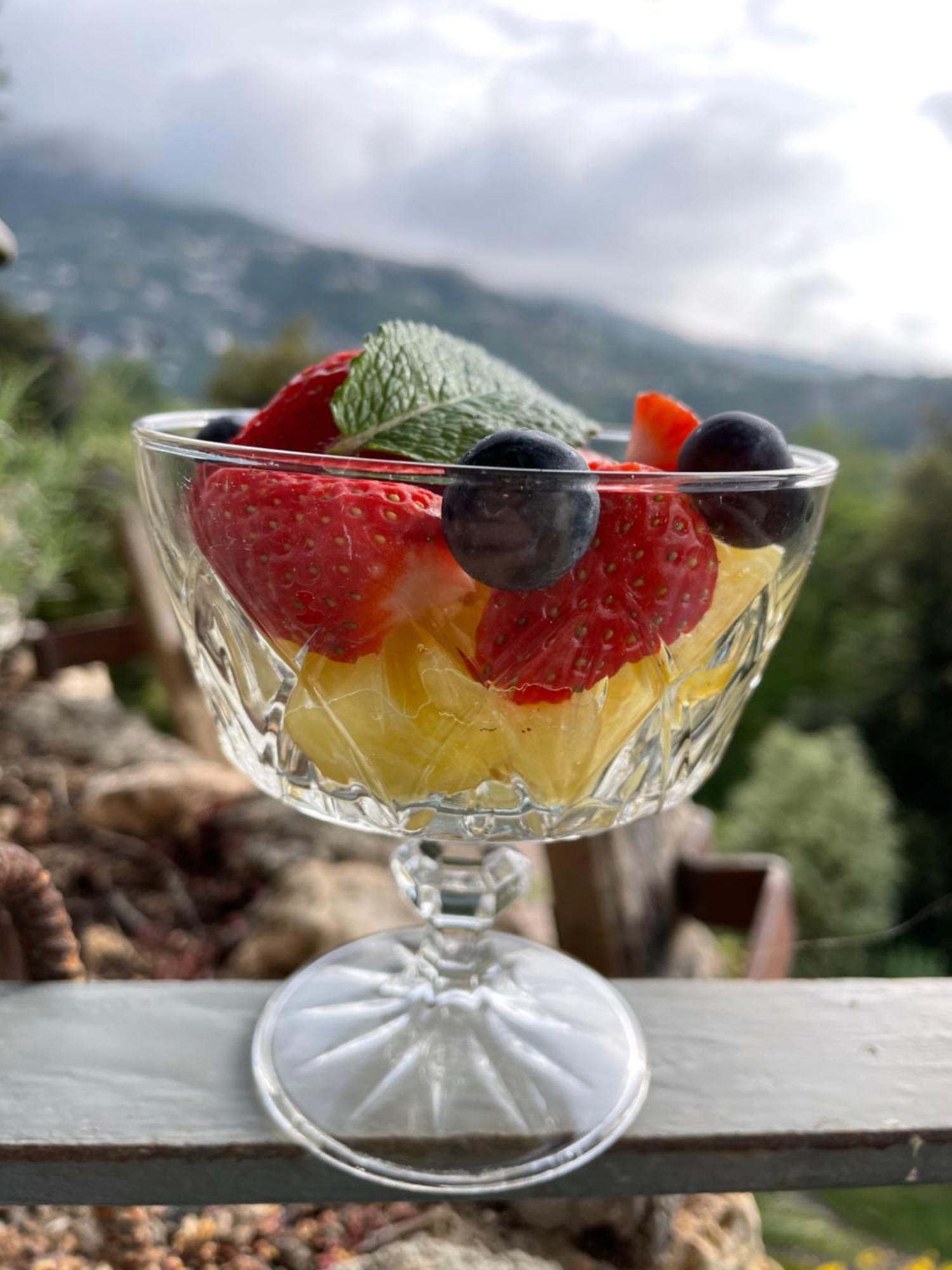 Au Pied Des Baous Bed & Breakfast Vence Exterior photo